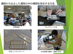 国際地域文化コース　地域調査プロジェクト｜木の文化を探る(3)